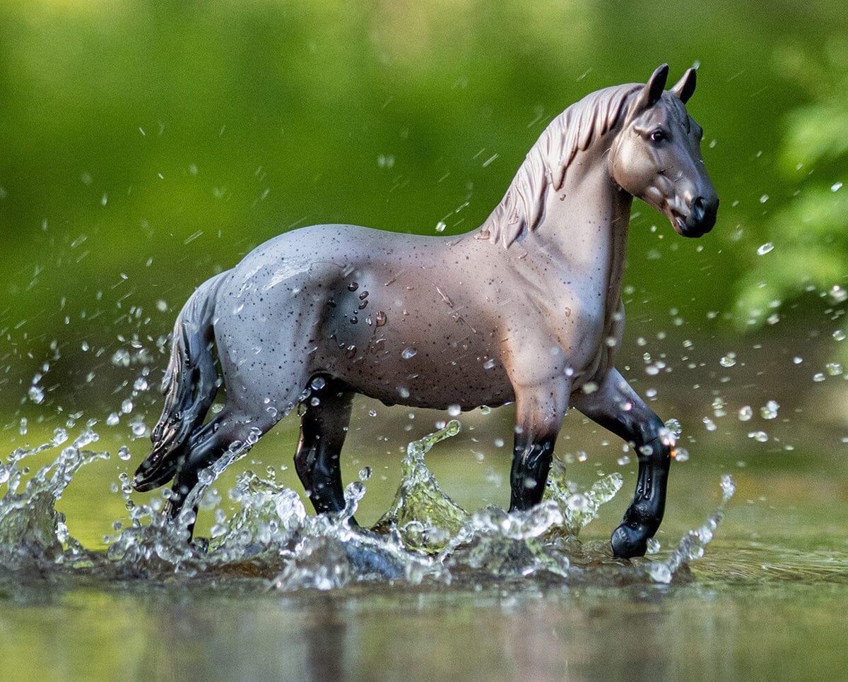 A Horse of My Very Own~Blue Roan | Henderson's Western Store