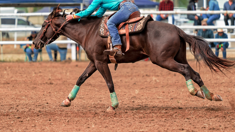 The History of Barrel Racing