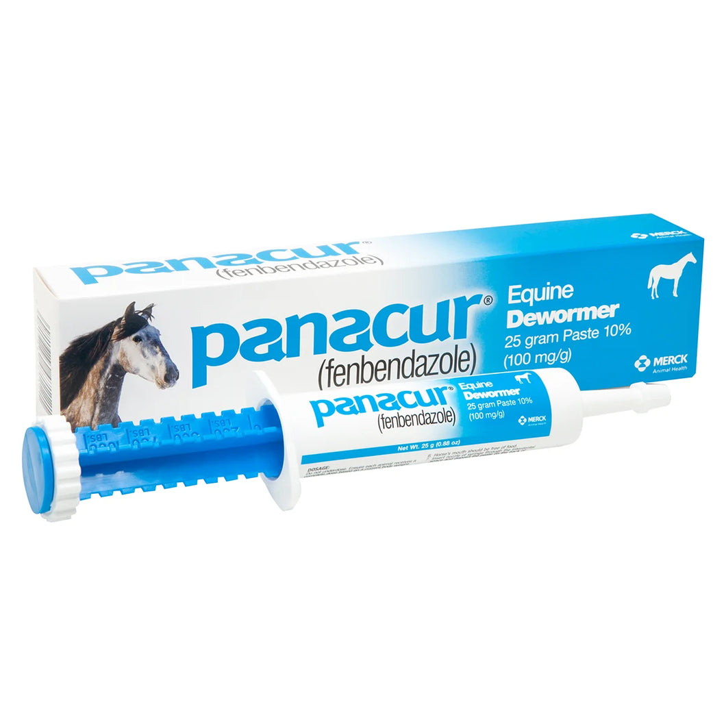 Panacur Horse Dewormer Paste - Henderson's Western Store