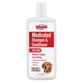 Sulfodene Medicated Shampoo & Conditioner