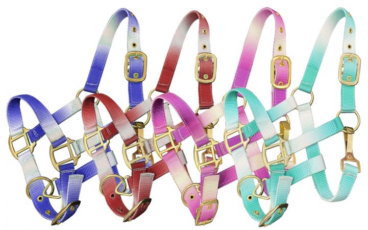 Nylon Halters ~ Ombre ~ Pony - Henderson's Western Store