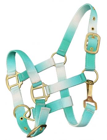 Nylon Halters ~ Ombre ~ Pony - Henderson's Western Store