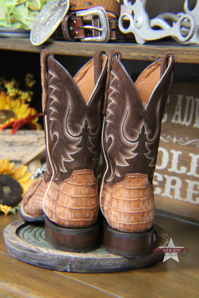 Cinch caiman boots online