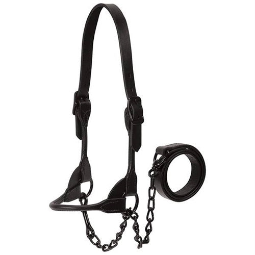 Black Magic Show Halter - Henderson's Western Store