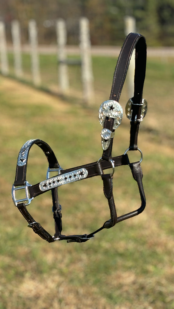 Dark Leather Show Halter ~ Stars & Diamonds