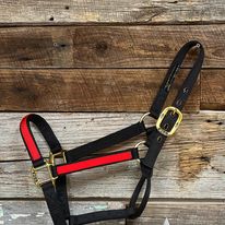 Big "D" Halter ~ Yearling - Henderson's Western Store