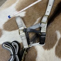 Mini Foal Nylon Halters - Henderson's Western Store