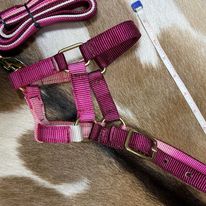 Load image into Gallery viewer, Mini Foal Nylon Halters - Henderson&#39;s Western Store