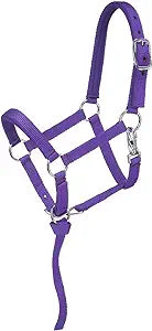 Nylon Halters ~ Foal - Henderson's Western Store