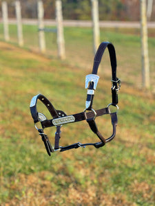 Load image into Gallery viewer, Dark Leather Show Halter ~ Sliver Bar