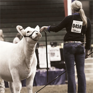 Load image into Gallery viewer, Black Magic Show Halter - Henderson&#39;s Western Store