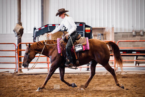 Load image into Gallery viewer, Smooth Leather Equitation Chaps