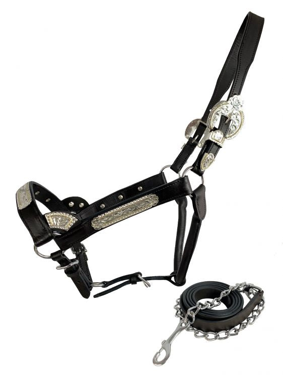 Dark Leather Show Halter ~ Floral Engraved - Henderson's Western Store