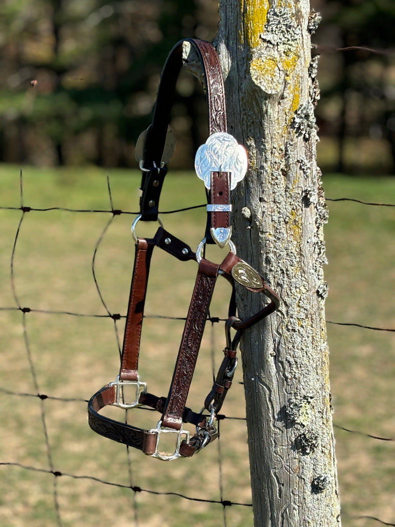 Silver Royal King Show Halter ~ Hand Carved Leather