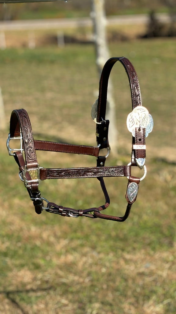 Silver Royal King Show Halter ~ Hand Carved Leather