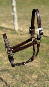 Load image into Gallery viewer, Ranch Show Halter W/Lead