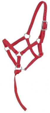 Nylon Halters ~ Foal - Henderson's Western Store