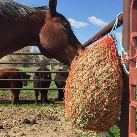 HayBoss Hay Bag #2 Net