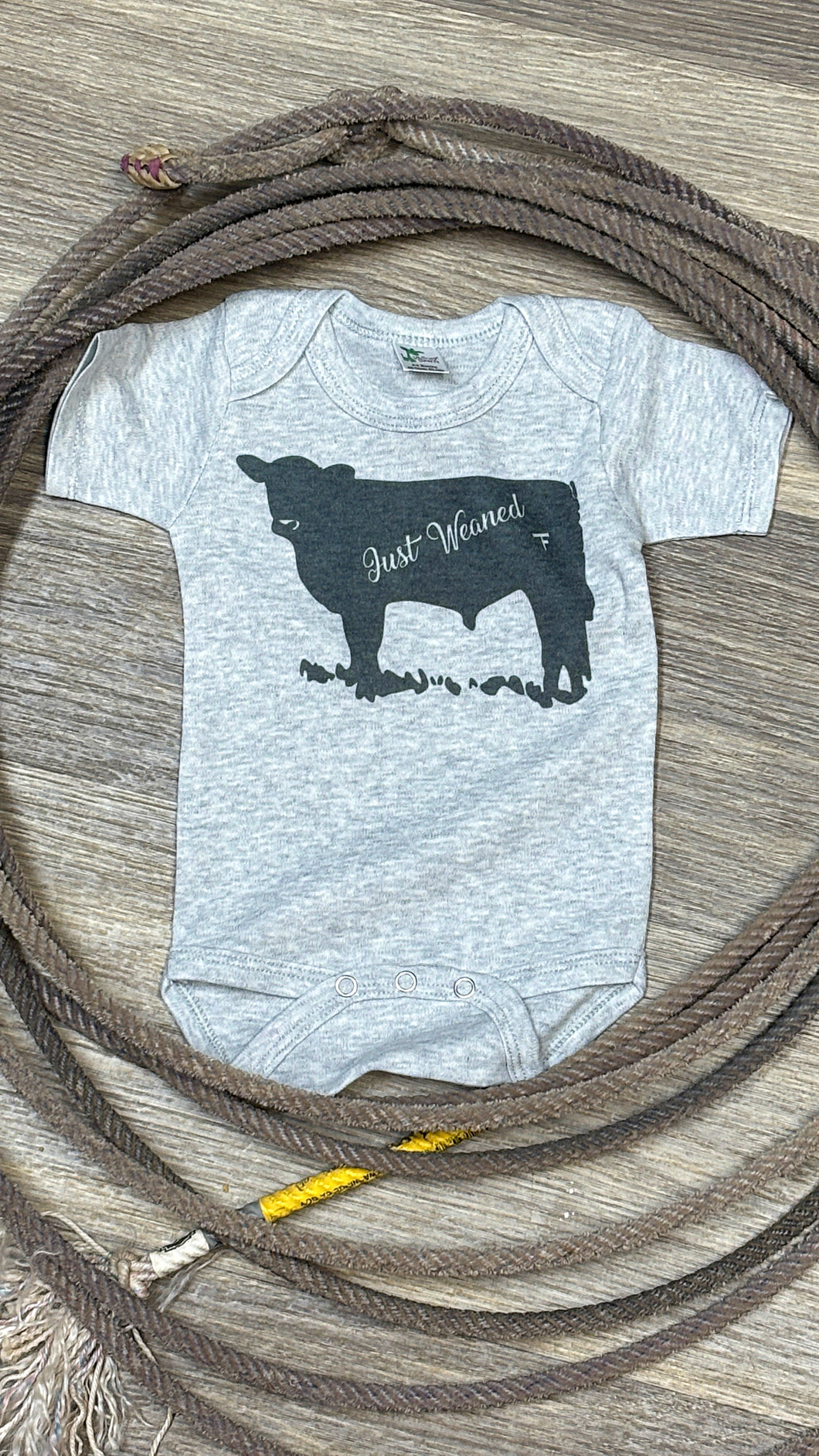 Just Weaned Onesie
