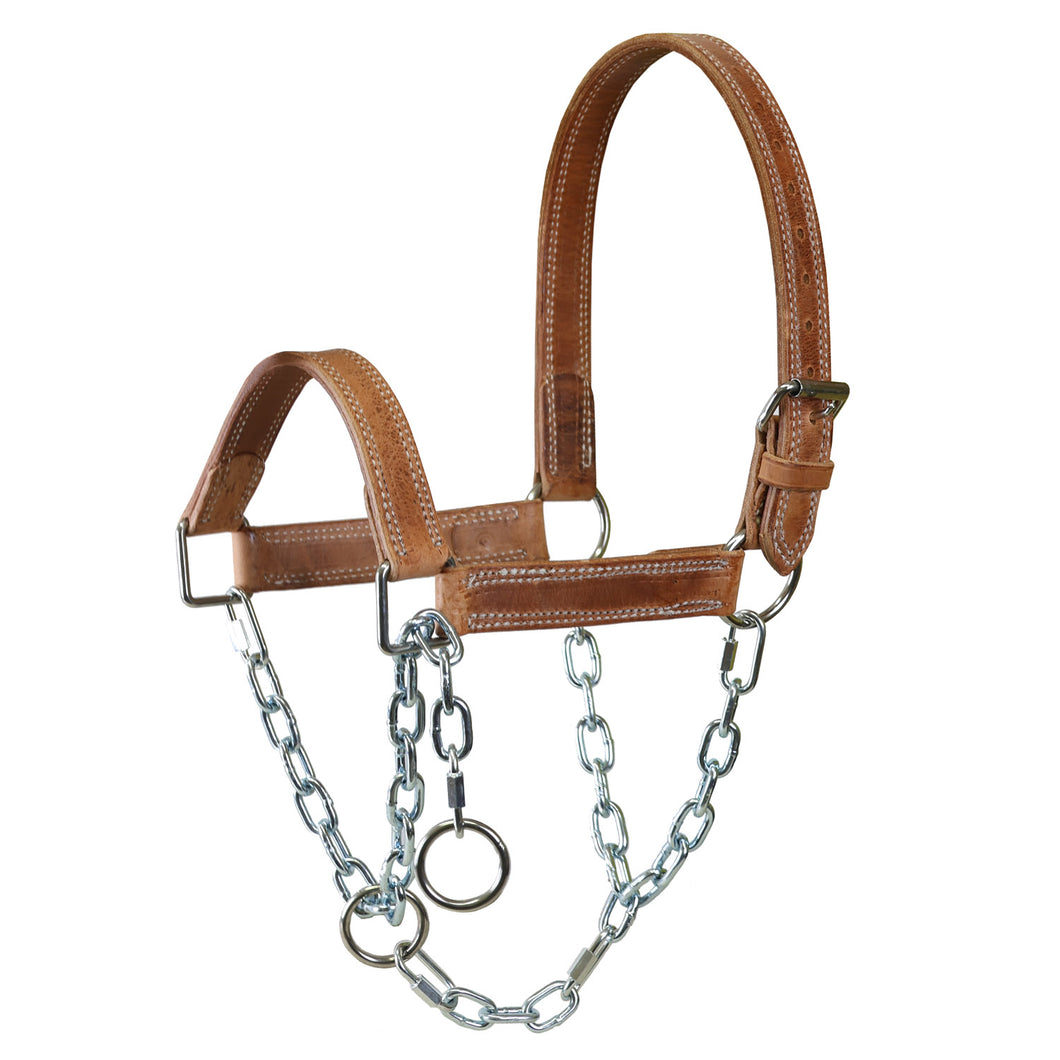 Leather Mule Halter with Draw Chain