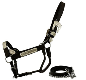 Load image into Gallery viewer, Dark Leather Show Halter ~ Sliver Bar