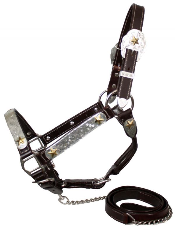 Western Show Halter w/ Lead