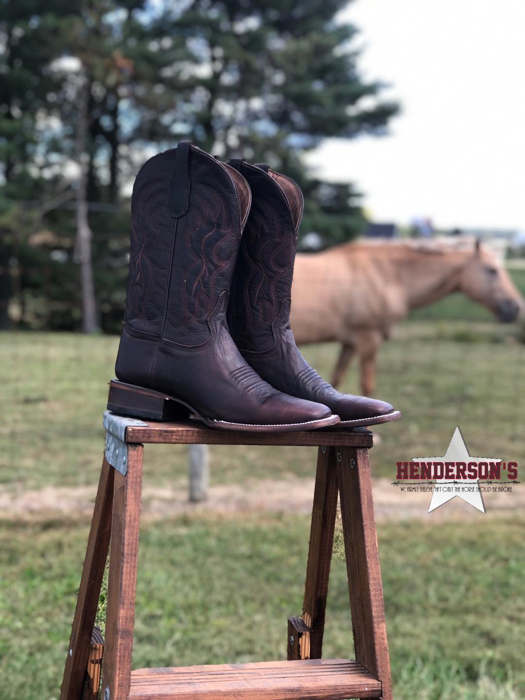 BM  Boot Straps - Rodeo Gear; Leather